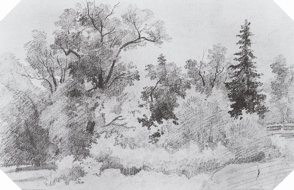 Иван Шишкин. Опушка леса. 1850-е.
